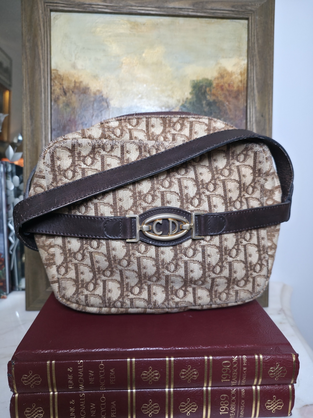Authentic Vintage Christian Dior Brown Trotter Jacquard Camera Bag